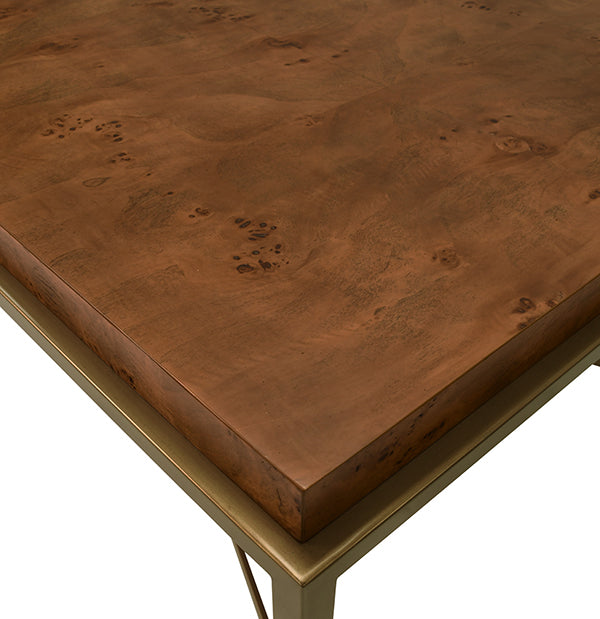 Antique Brass Frame Coffee Table with Thick Top in Burl Wood